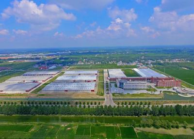 連云港灌南:食用菌全產業(yè)鏈 為鄉(xiāng)村振興蓄能