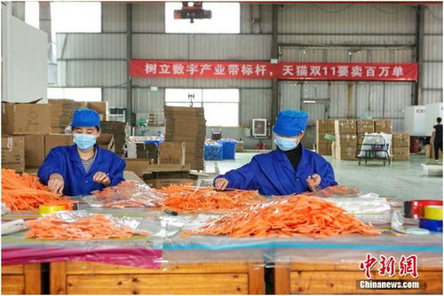 天貓雙11首日產業(yè)帶迎來開門紅 7個產地1小時銷量過億