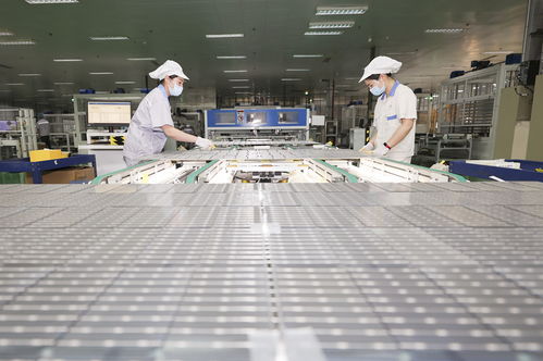 超級中國縣 連云港贛榆區(qū) 一張漁網與新產業(yè)的探戈