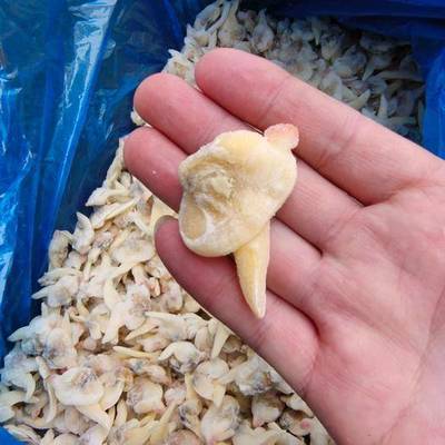 連云港農(nóng)產(chǎn)品市場 供應(yīng)、價(jià)格與網(wǎng)上交易平臺全景分析