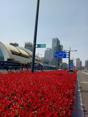 海濱大道與國展中心客運站 連云區(qū)的交通樞紐